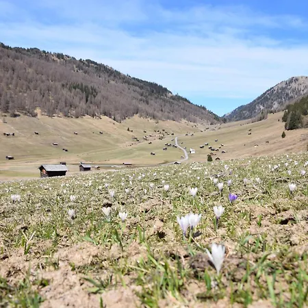 Alpenchalet S'andalr Pfunds